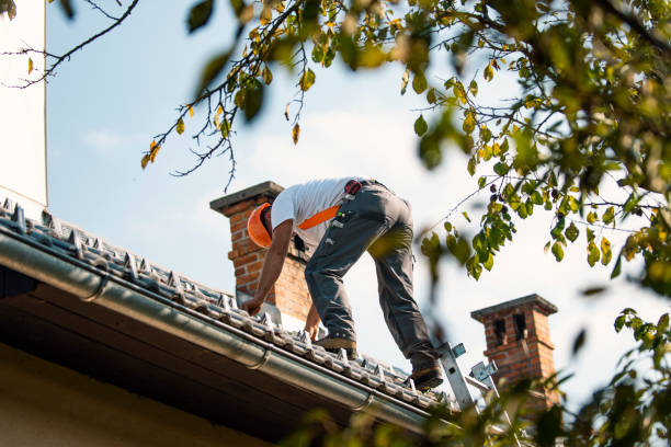 Best Flat Roof Repair Services  in Roanoke, VA